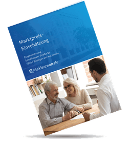 Real Estate Valuation Preview